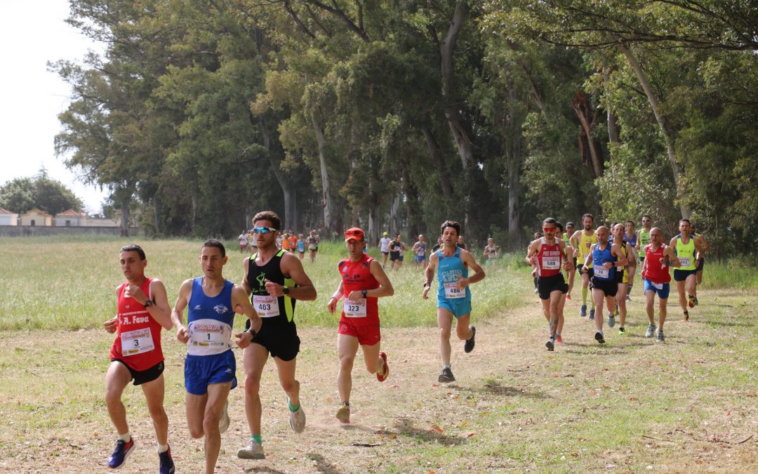 Comunicato stampa, Manca un mese e la Pedagnalonga è pronta a partire. Le iscrizioni della gara da 21km sono aperte online, nei prossimi giorni verranno aperte quelle della passeggiata non-competitiva