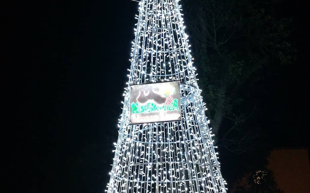 La Pedagnalonga ha donato l’albero di Natale alla comunità di Borgo Hermada