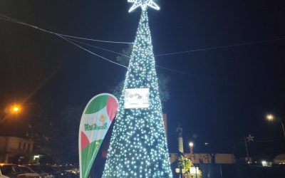 Comunicato stampa  La Pedagnalonga non si ferma mai. Iniziata la distribuzione dei buoni alimentari. Sicignano: «Vogliamo essere vicini al nostro territorio per 12 mesi l’anno»