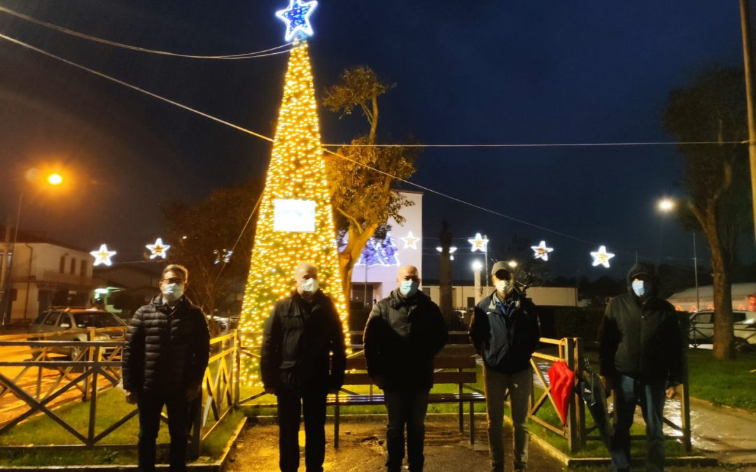 Comunicato stampa, Per la terza volta la Pedagnalonga dona l’albero di Natale a Borgo Hermada. Domani sera alle 19:00 l’accensione in piazza. Sicignano: «Sempre dalla parte della comunità»