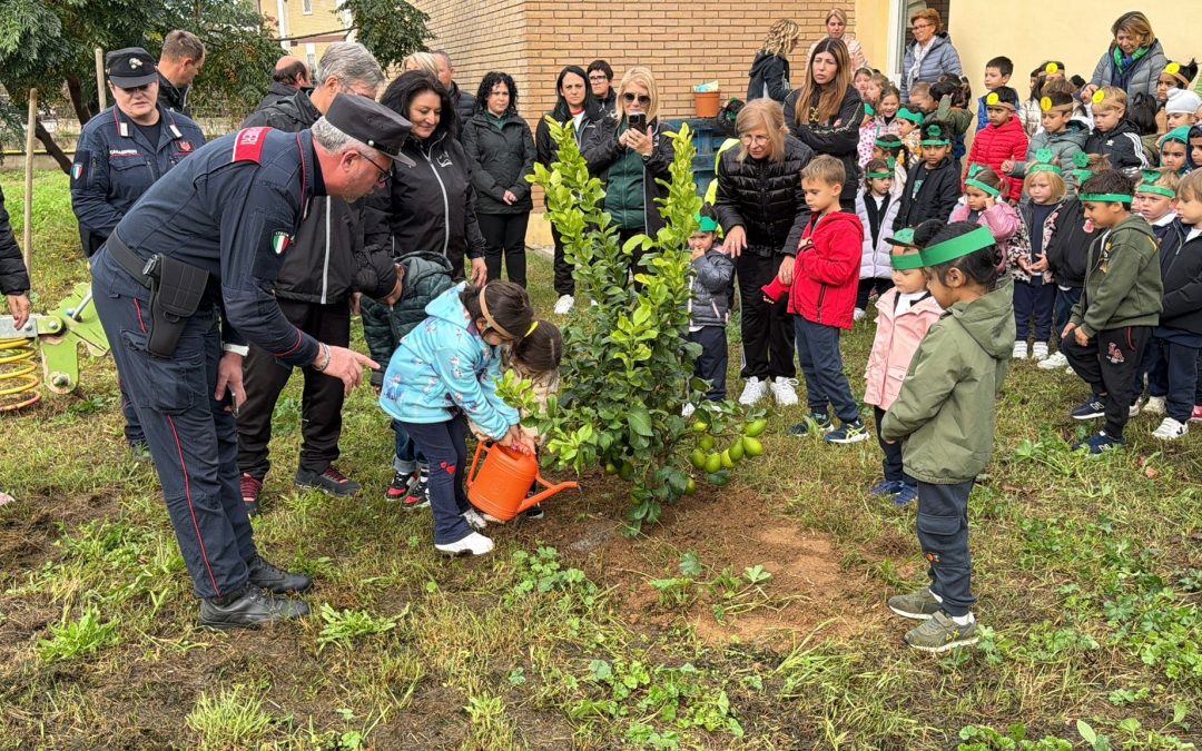 Comunicato stampa, Festa dell’Albero: la Pedagnalonga incontra gli studenti di Borgo Hermada e La Fiora
