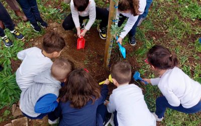 Comunicato stampa, Si avvicina la Festa dell’Albero, ecco le tre iniziative di Pedagnalonga con gli studenti dell’istituto Alfredo Fiorini sul territorio